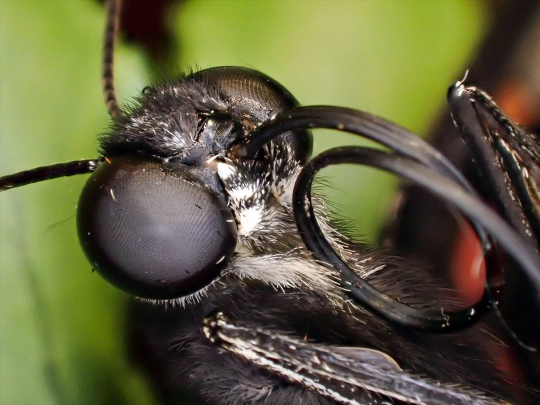 Konya’nın ünlü bahçesindeki detaylar tüyler ürpertti: İyi ki küçükler 4
